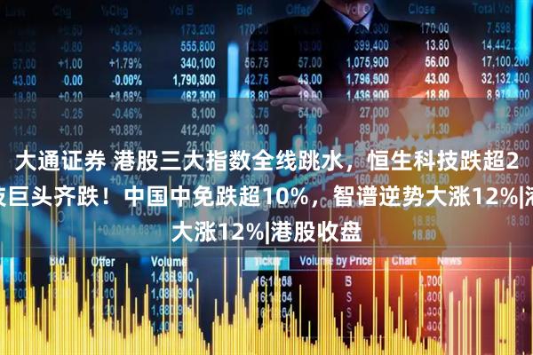 大通证券 港股三大指数全线跳水，恒生科技跌超2%，科技巨头齐跌！中国中免跌超10%，智谱逆势大涨12%|港股收盘