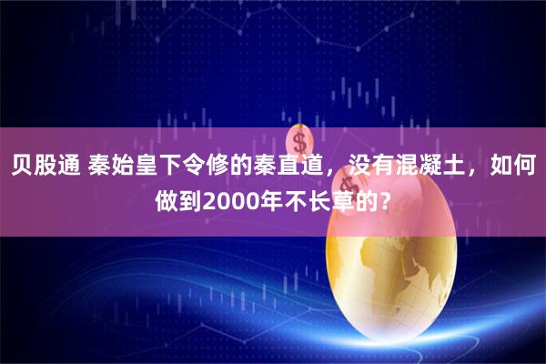 贝股通 秦始皇下令修的秦直道，没有混凝土，如何做到2000年不长草的？