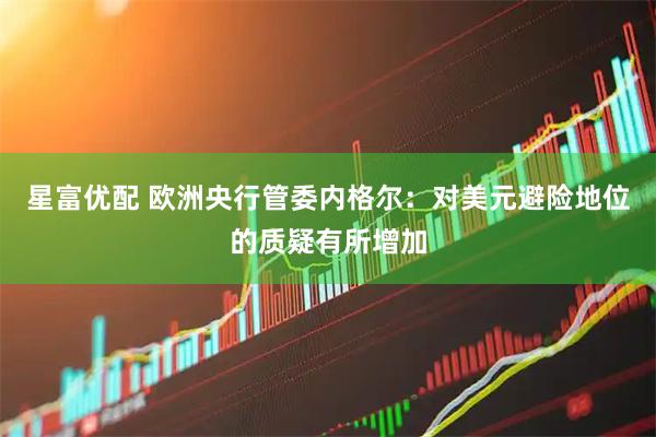星富优配 欧洲央行管委内格尔：对美元避险地位的质疑有所增加