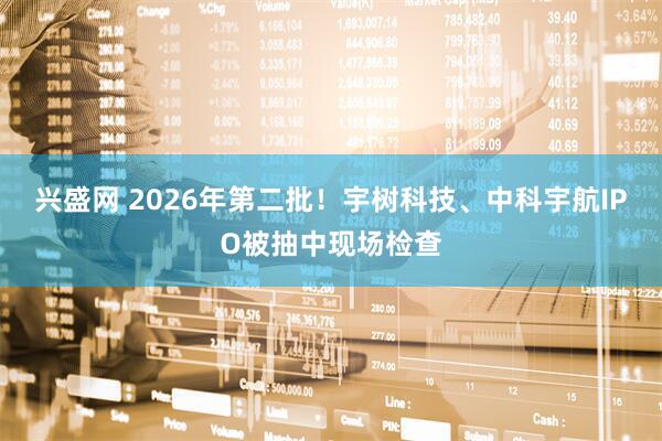 兴盛网 2026年第二批！宇树科技、中科宇航IPO被抽中现场检查