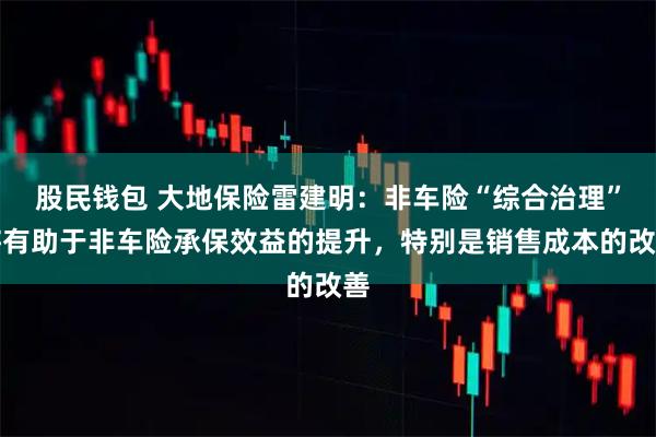 股民钱包 大地保险雷建明：非车险“综合治理”将有助于非车险承保效益的提升，特别是销售成本的改善