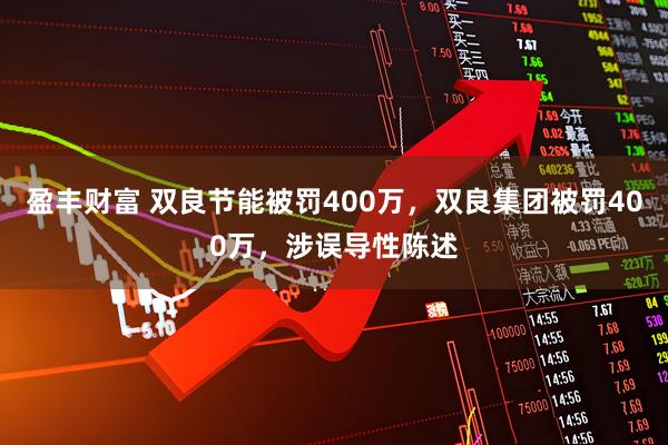 盈丰财富 双良节能被罚400万，双良集团被罚400万，涉误导性陈述