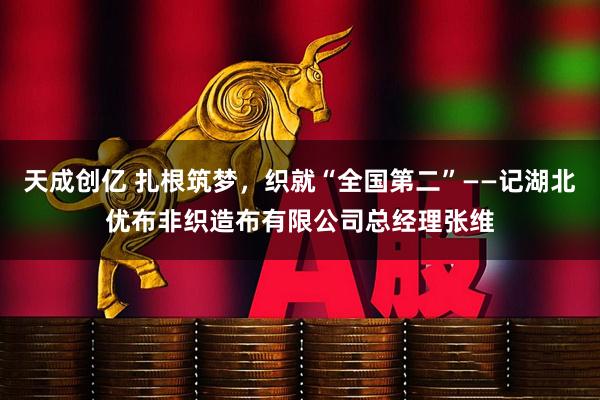 天成创亿 扎根筑梦，织就“全国第二”——记湖北优布非织造布有限公司总经理张维