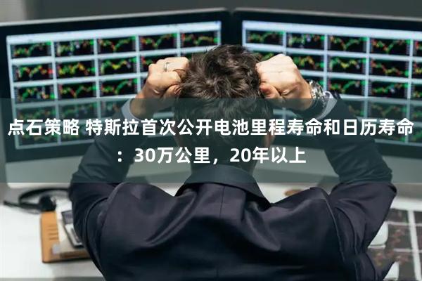 点石策略 特斯拉首次公开电池里程寿命和日历寿命：30万公里，20年以上