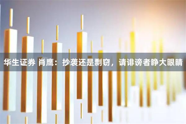 华生证券 肖鹰：抄袭还是剽窃，请诽谤者睁大眼睛