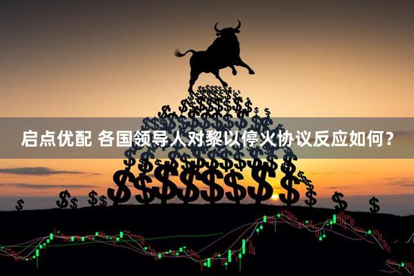 启点优配 各国领导人对黎以停火协议反应如何？