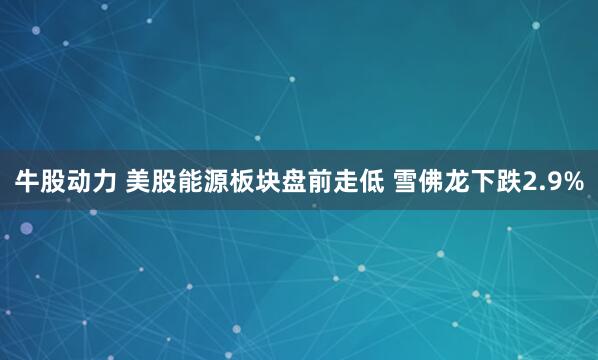 牛股动力 美股能源板块盘前走低 雪佛龙下跌2.9%