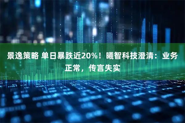 景逸策略 单日暴跌近20%！曦智科技澄清：业务正常，传言失实